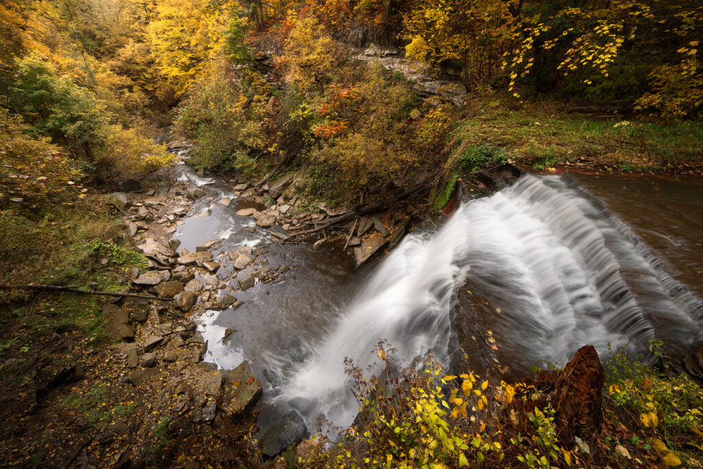 flowing waterfall through a fall forest