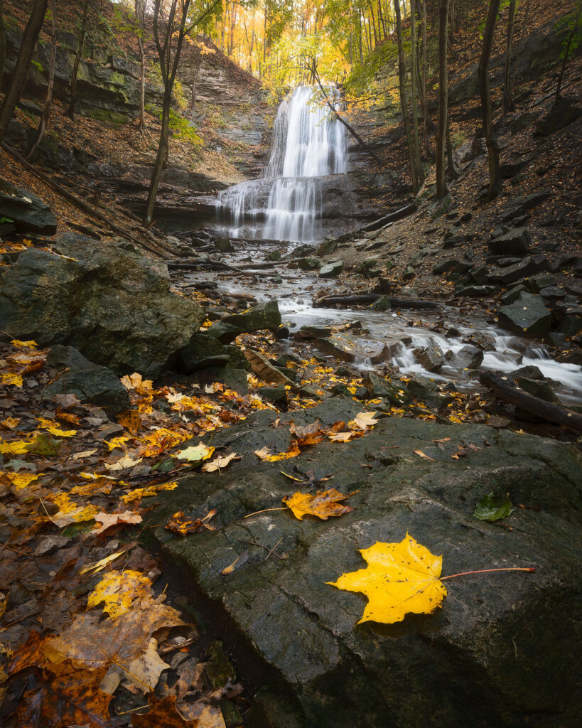 fall foliage around a tall waterfall