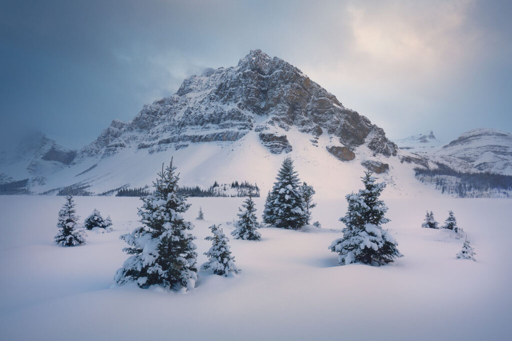 small stand of trees below a mountain in Banff