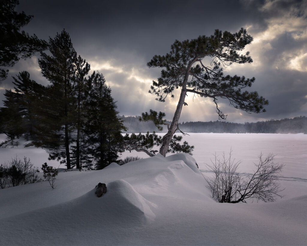 passing snow, light beams, and trees