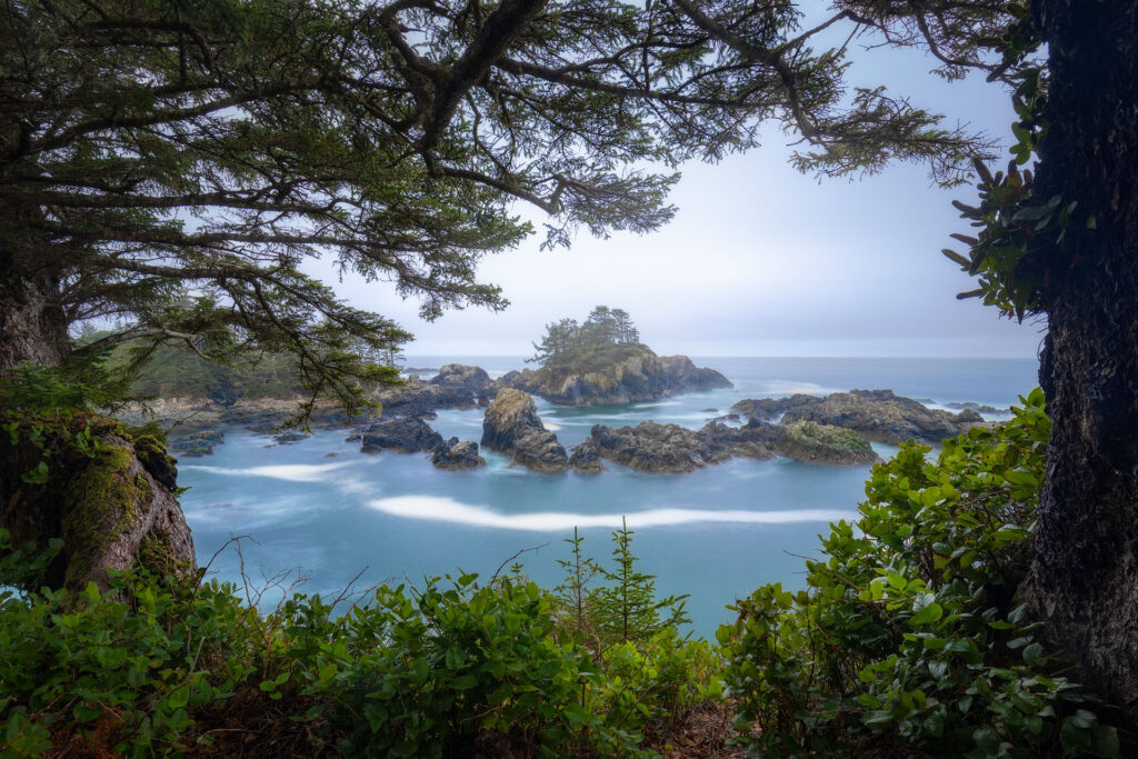 coastal rocks revealed by foliage