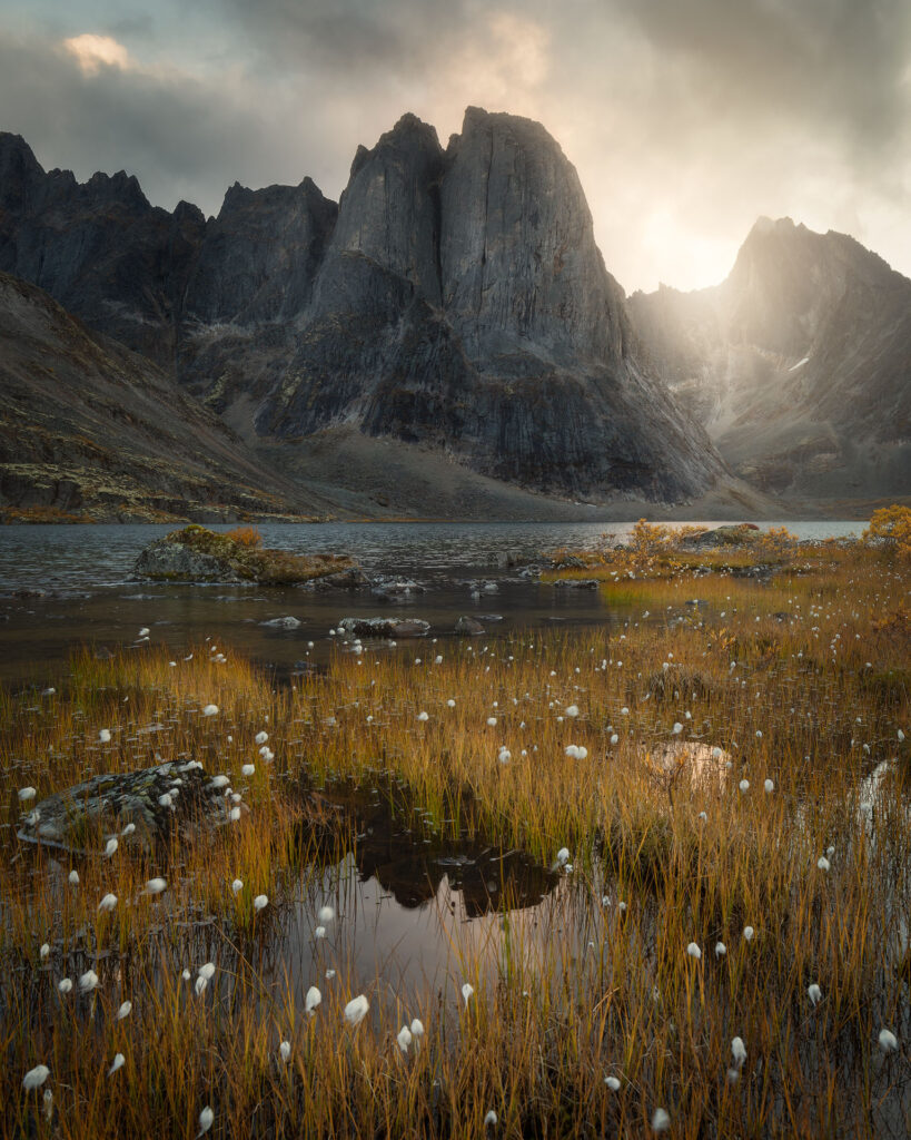 cotton grass and puddle below large mountain