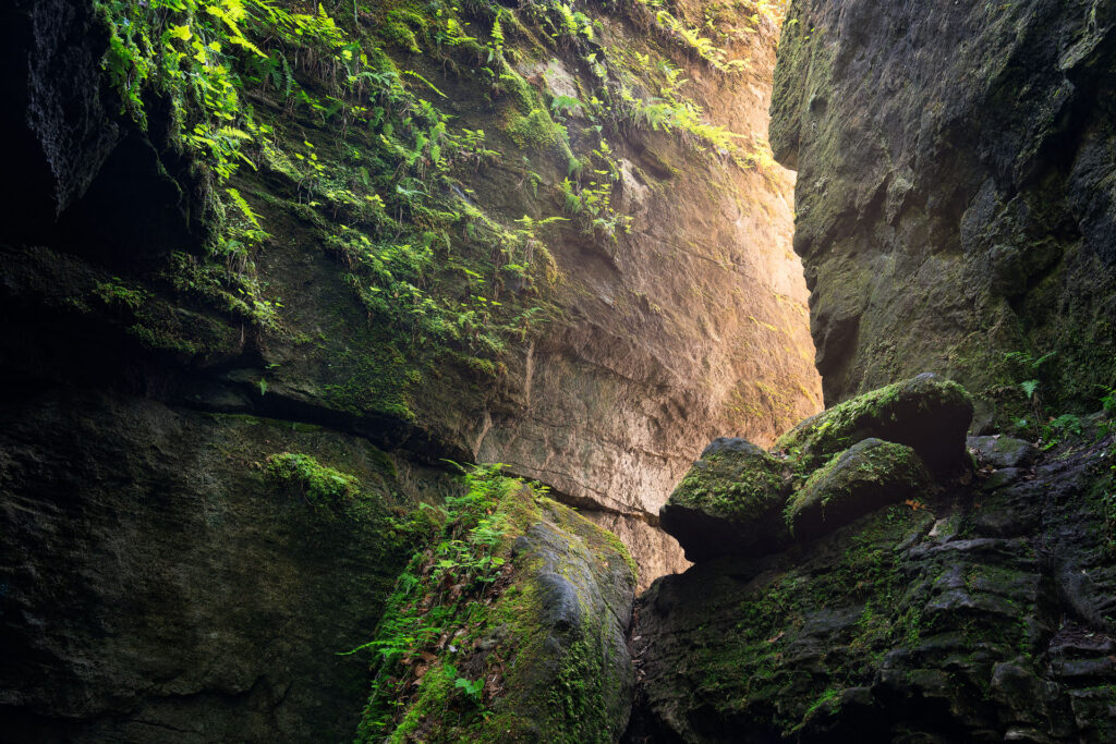 reflected light in green slot canyon