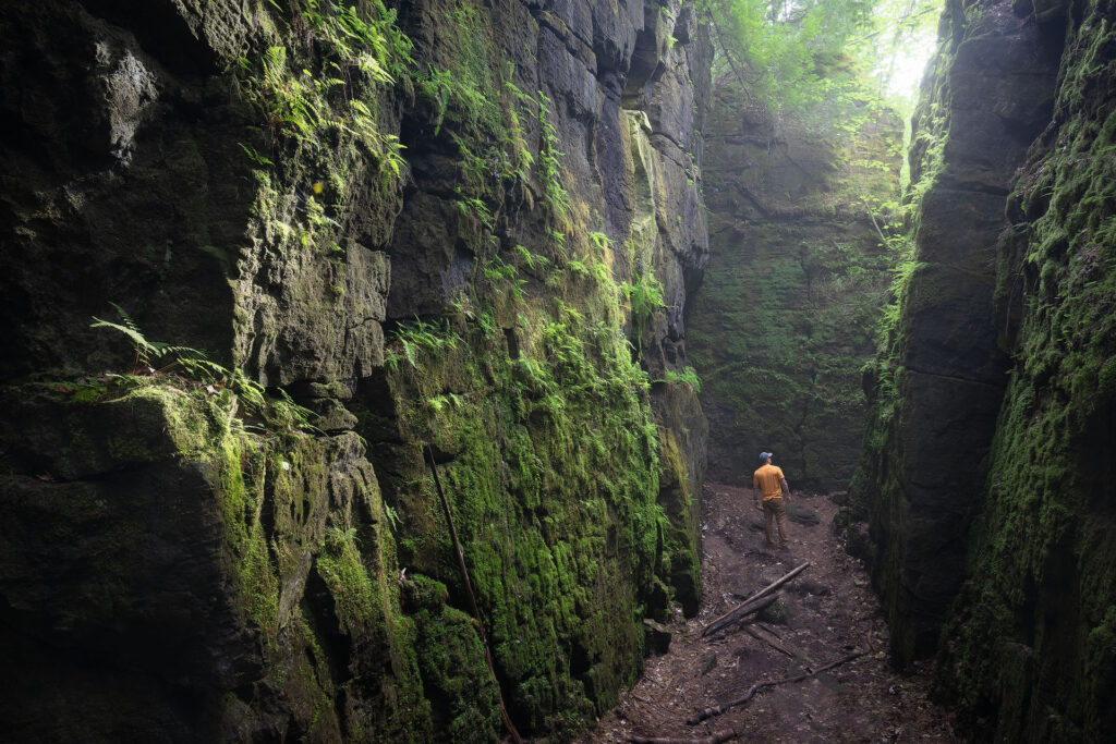 Canyon with green mossy walls with person